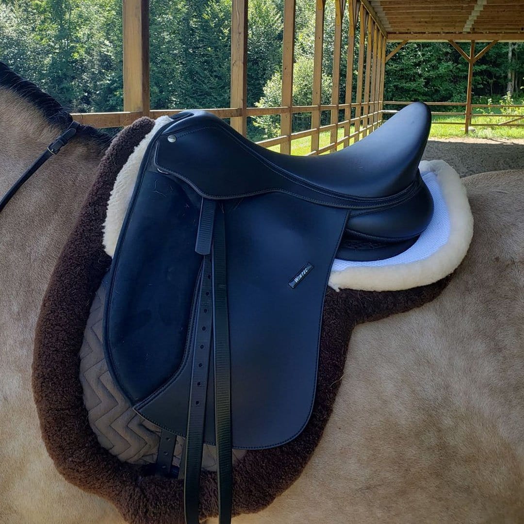 Diagram of Air Cycle Prene layers showcasing moisture-wicking, comfort, and shock absorption for horses.