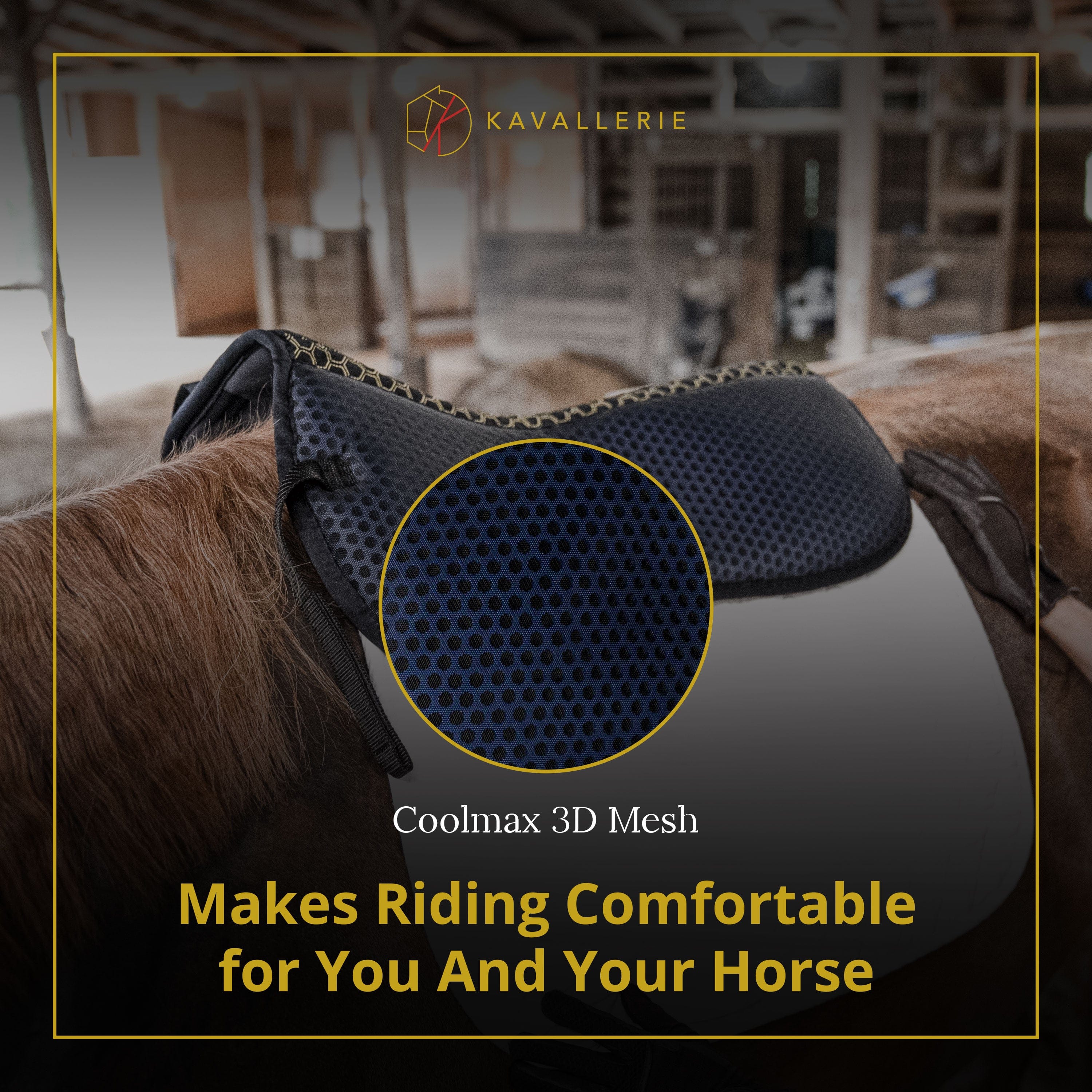 Diagram of Air Cycle Prene layers showcasing moisture-wicking, comfort, and shock absorption for horses.