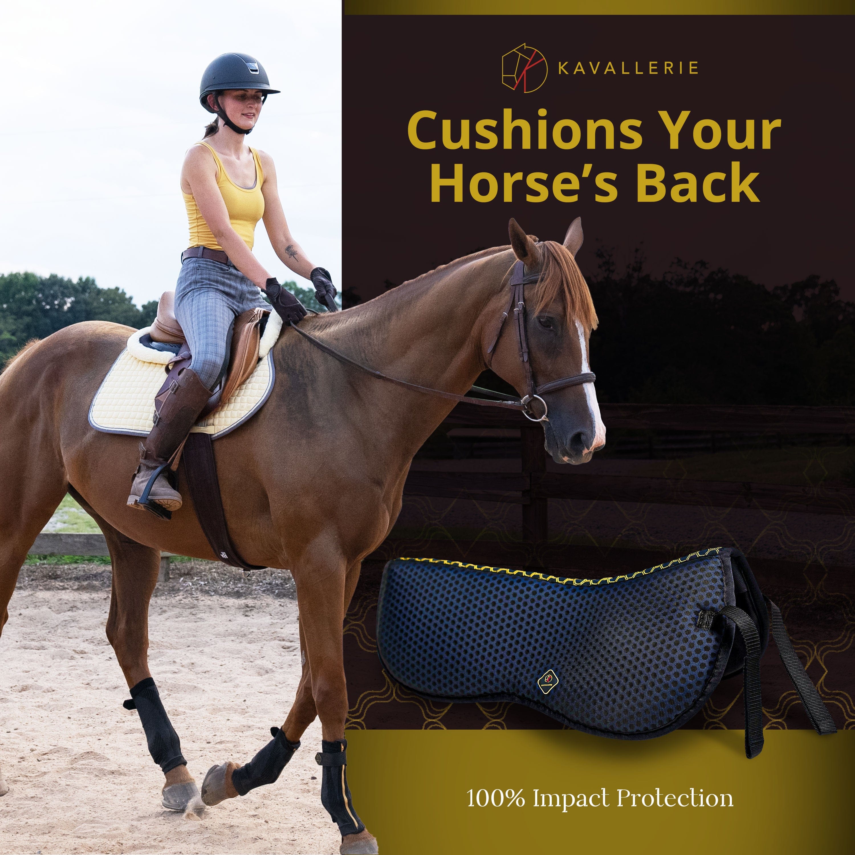 Diagram of Air Cycle Prene layers showcasing moisture-wicking, comfort, and shock absorption for horses.