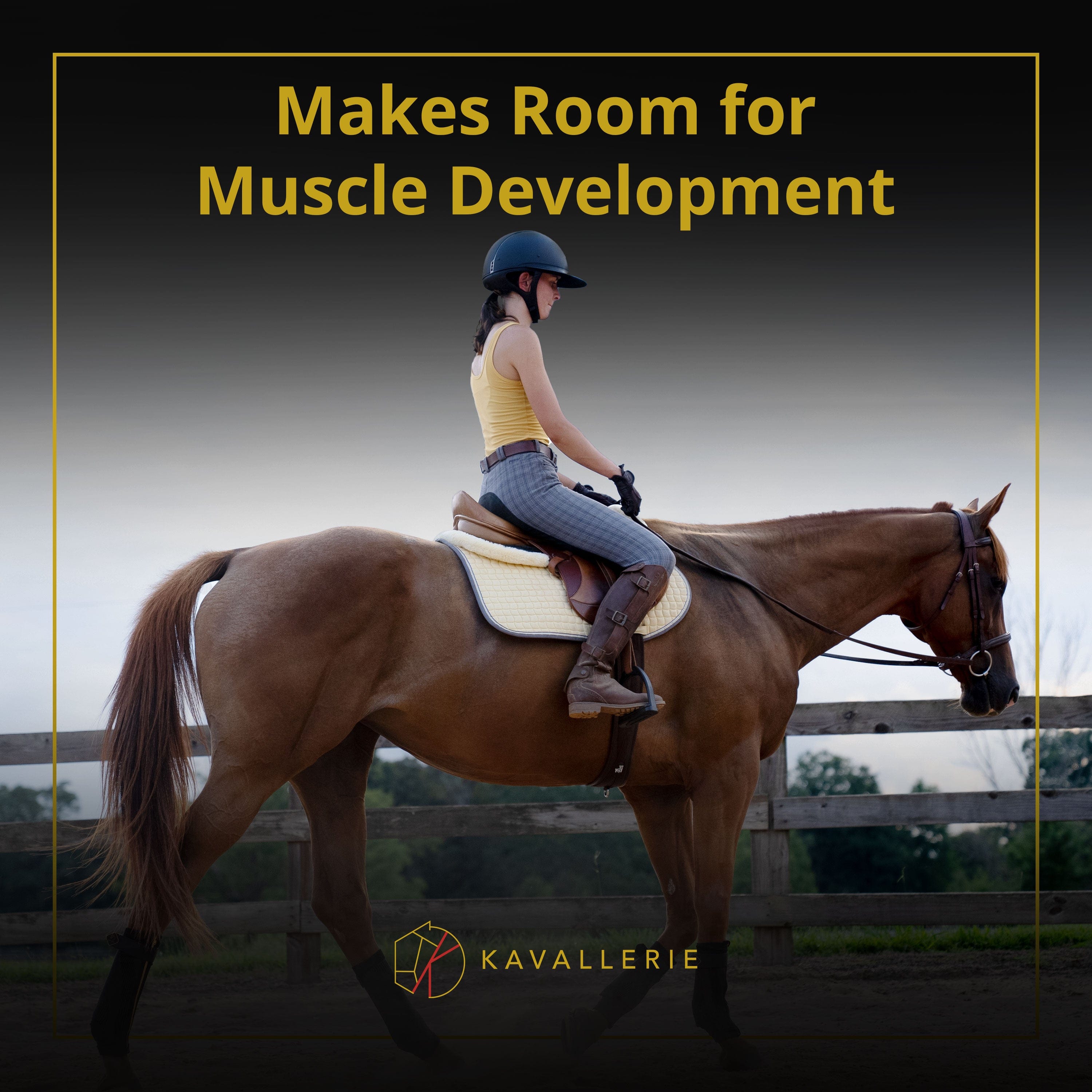 Diagram of Air Cycle Prene layers showcasing moisture-wicking, comfort, and shock absorption for horses.