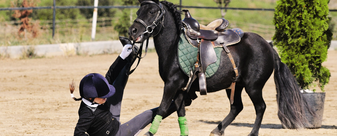 The Most Common Horse-Riding Injuries to Avoid – Kavallerie