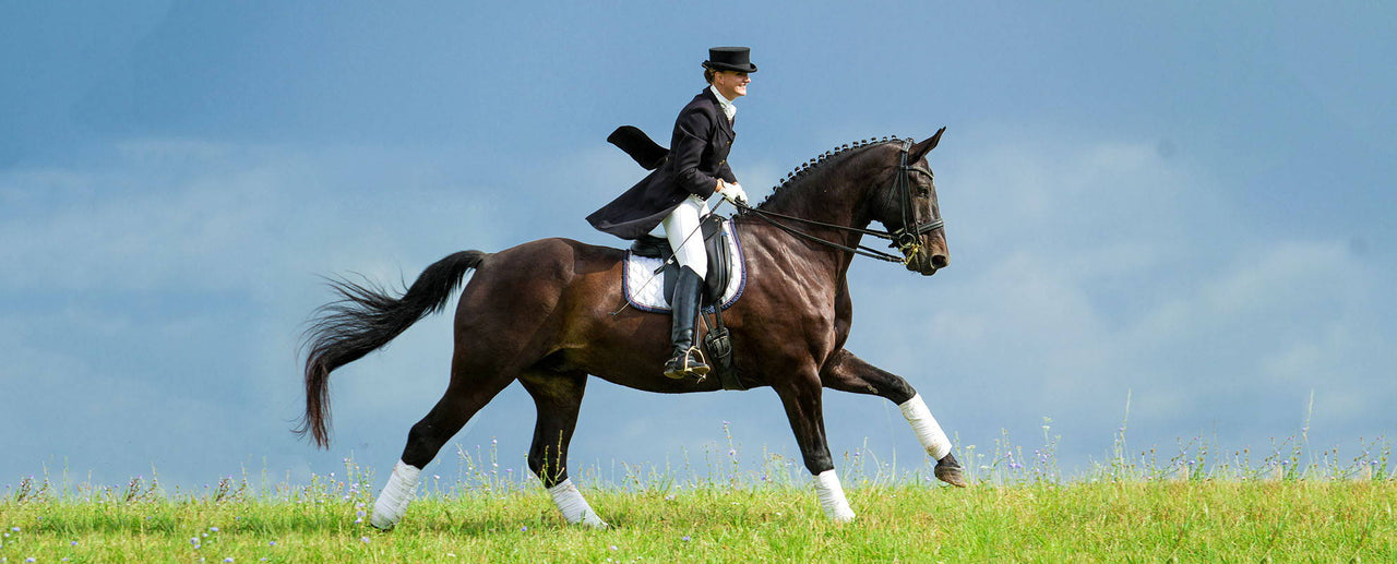 The Complete Guide To Equestrian Dressage Attire – Kavallerie