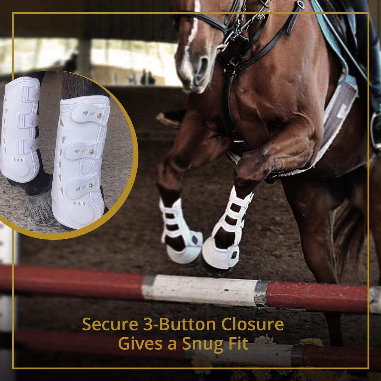 Pro-K Horse Tendon Boots