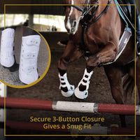 Pro-K Horse Tendon Boots