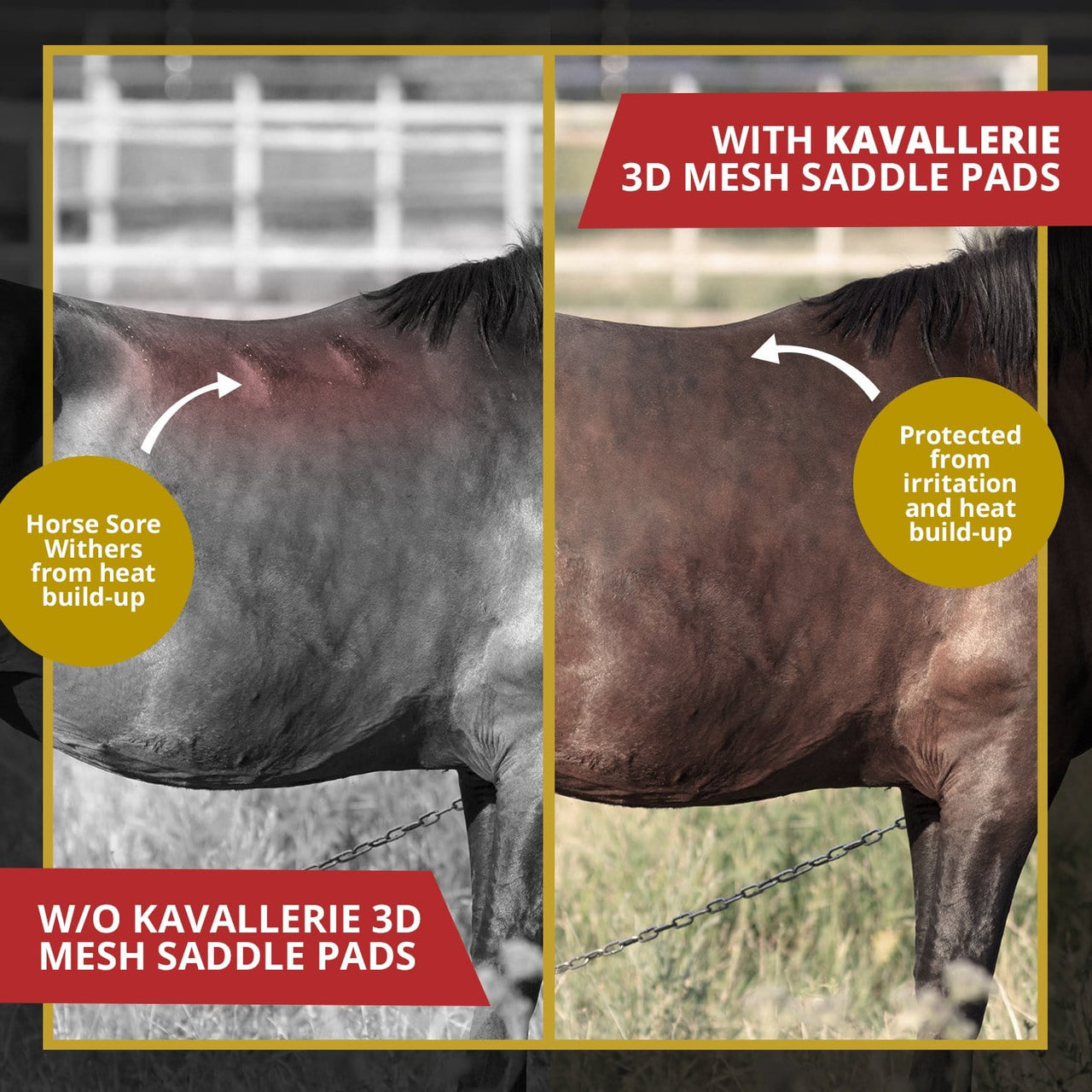 Full 3D Mesh Saddle Pad - Kavallerie