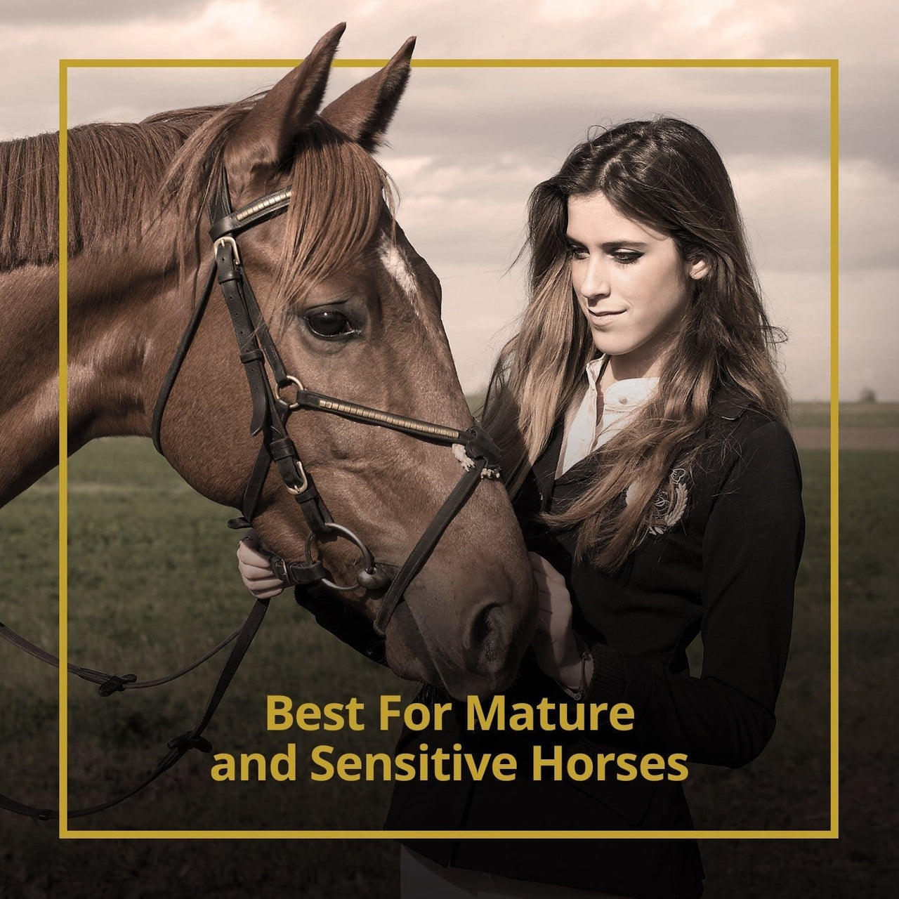 Gel Curb Chain Guard – Kavallerie