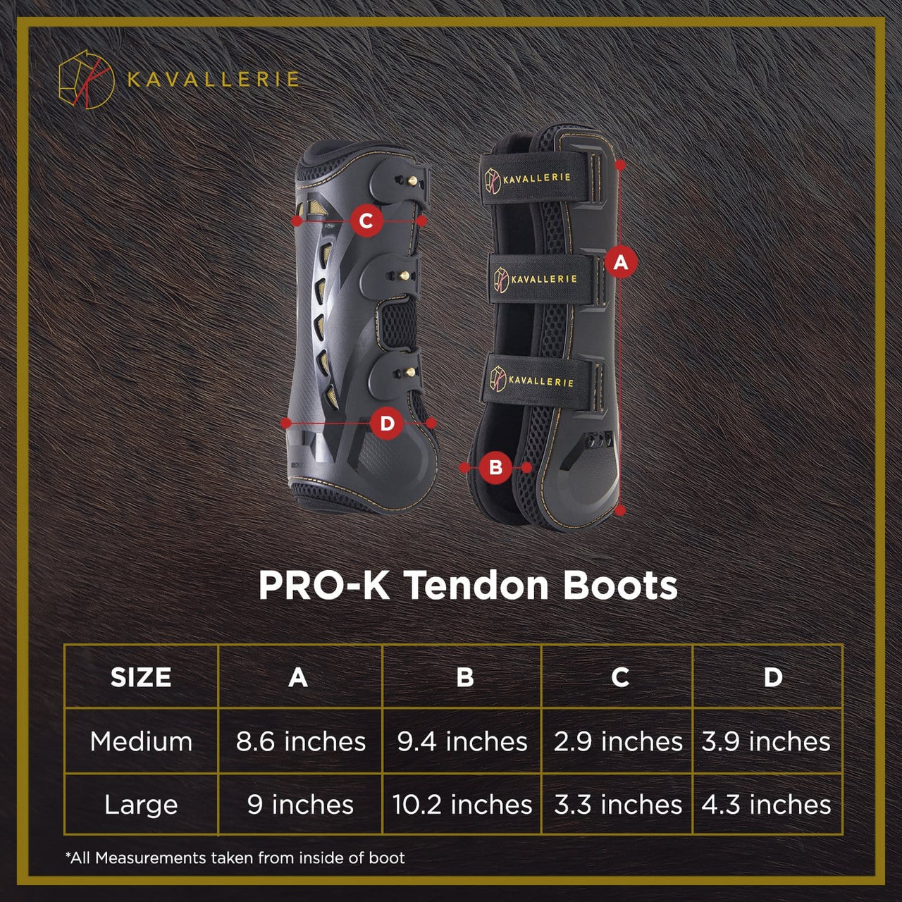 Pro-K Horse Tendon Boots - Kavallerie